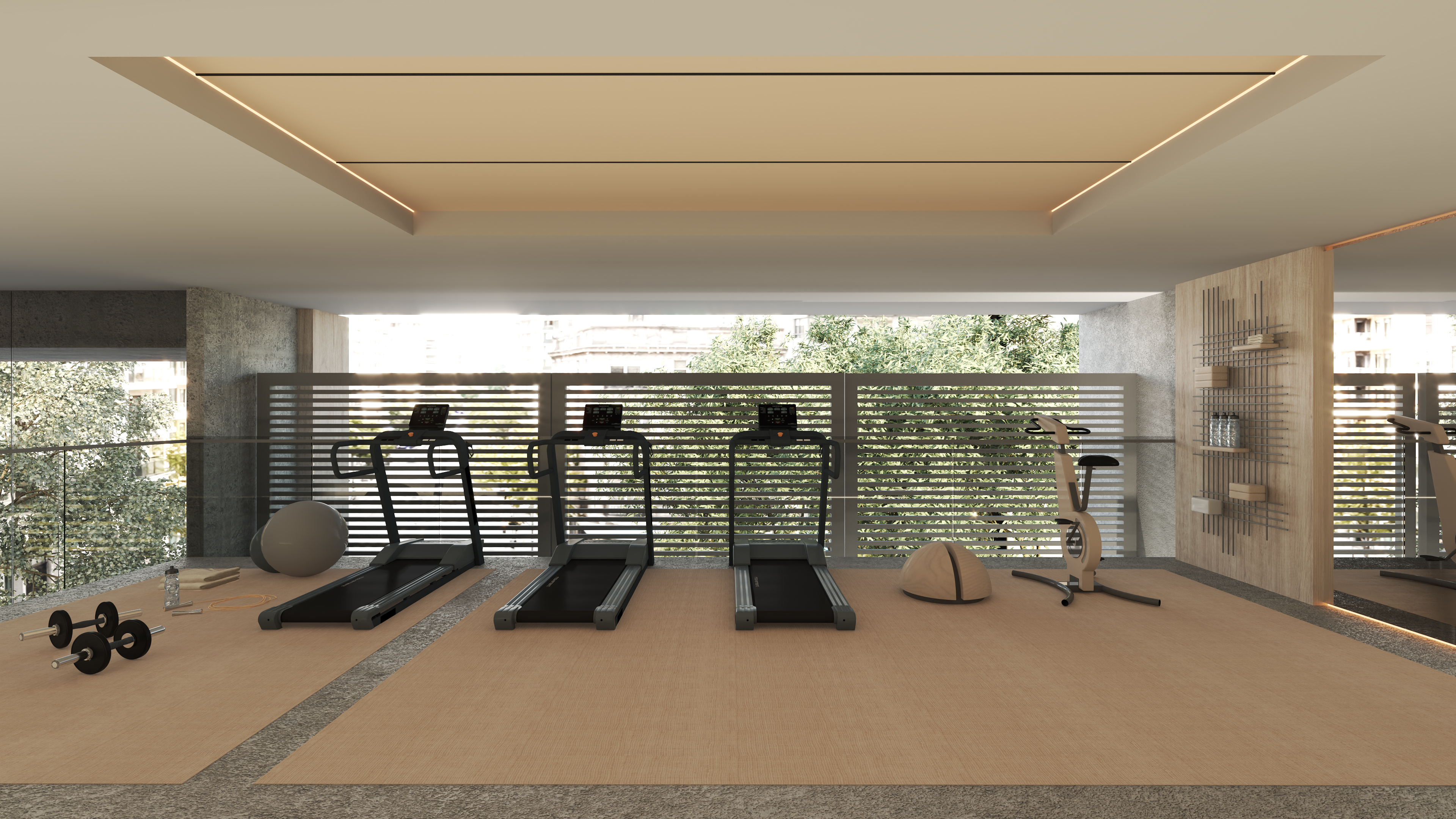 Gimnasio Prisma